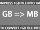 Compress or convert 1GB file into 1MB